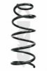 SPIDAN 86620 Coil Spring